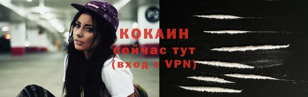 трава Пересвет