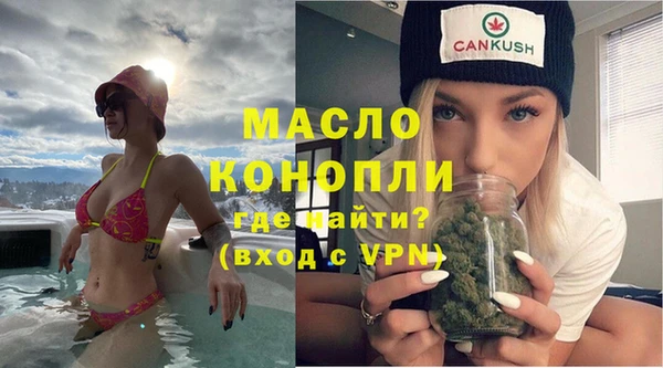 молекула духа Переславль-Залесский
