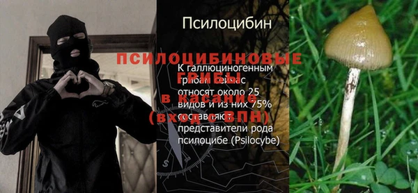 трава Пересвет