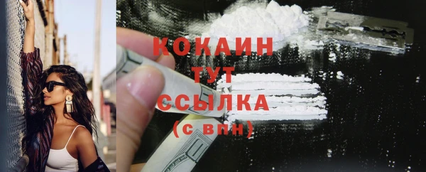 молекула духа Переславль-Залесский